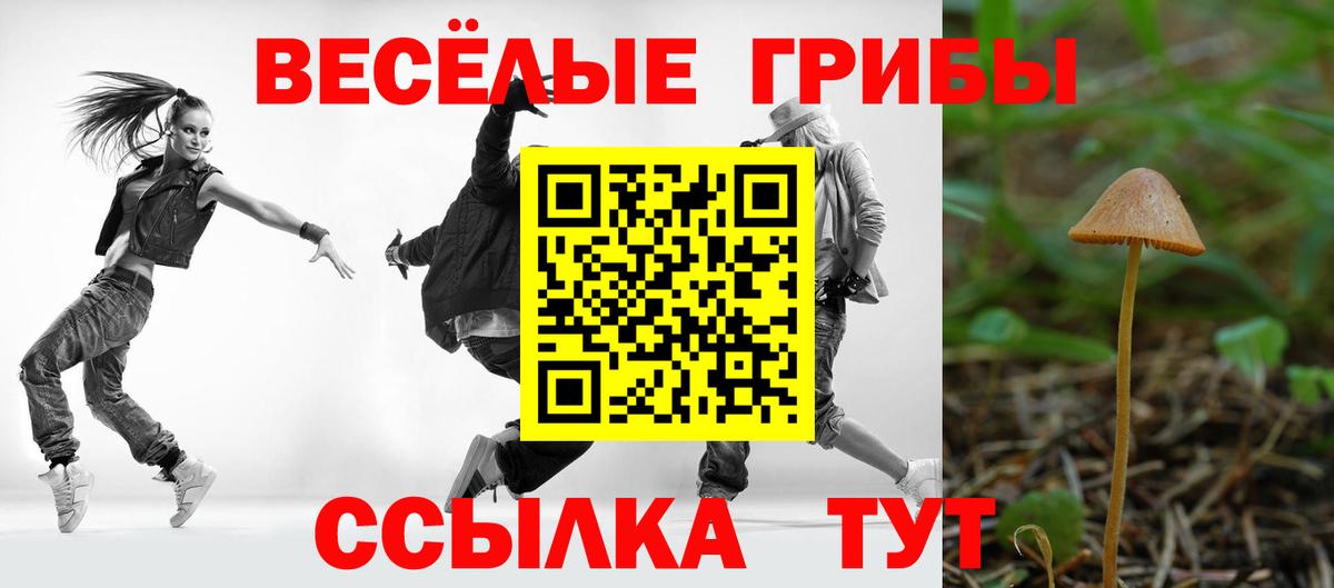 Галлюциногенные грибы Psilocybine cubensis Гусиноозёрск