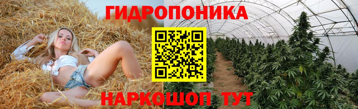 Канабис план Гусиноозёрск